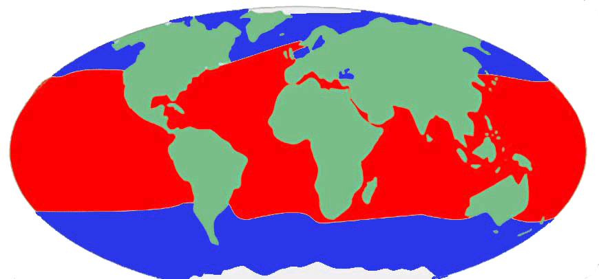 Where the wild things are