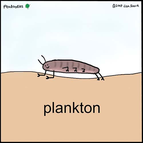 Pun on the word plankton