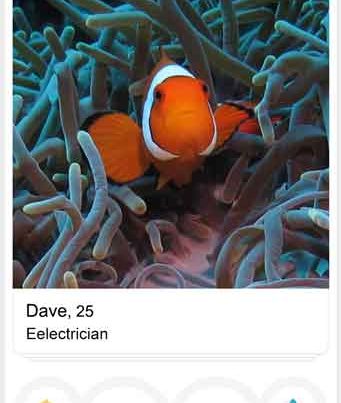 What a fishy tinder profile may look like