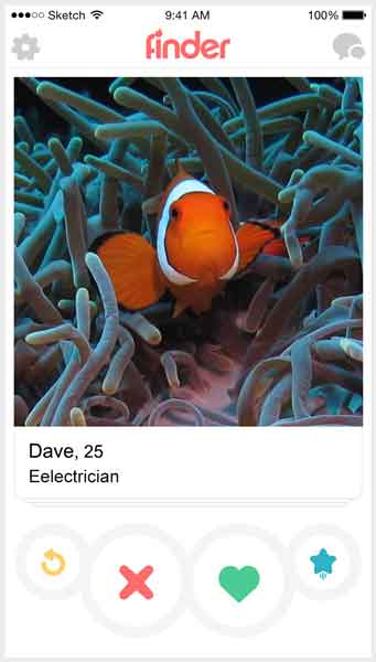 What a fishy tinder profile may look like