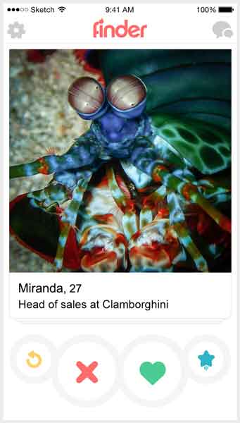 If fish were on Tinder 6
