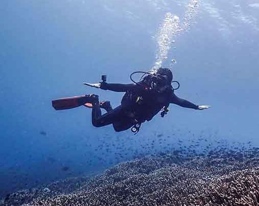 Diver drifting over the reef