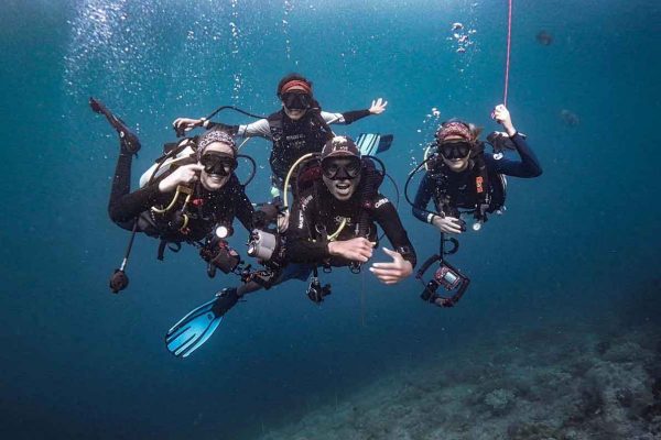 A group of divers