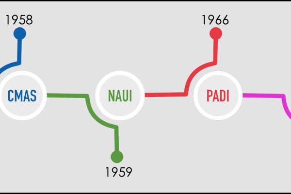 This image show a timeline of scuba diving agencies