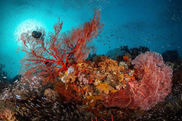 A view from below to the surface