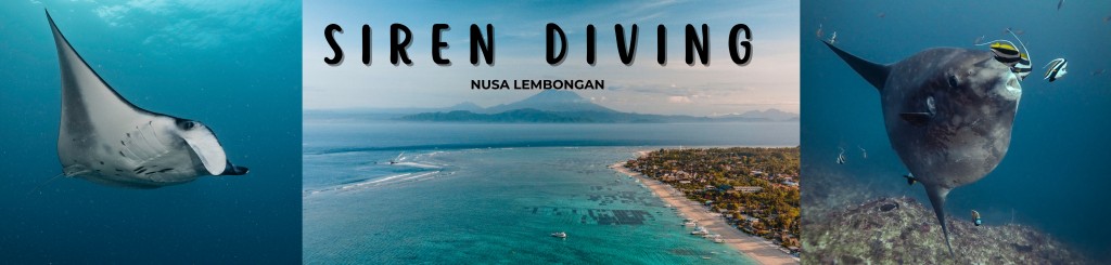 banner for getting to Lembongan