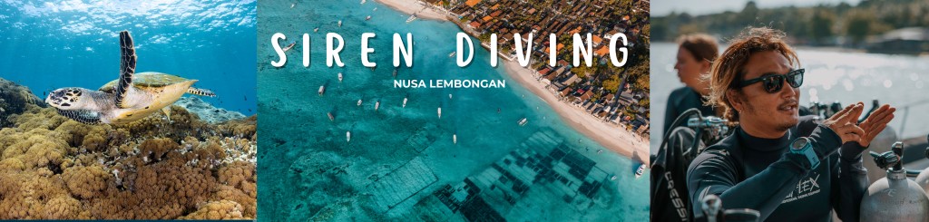 banner for getting to Lembongan 2